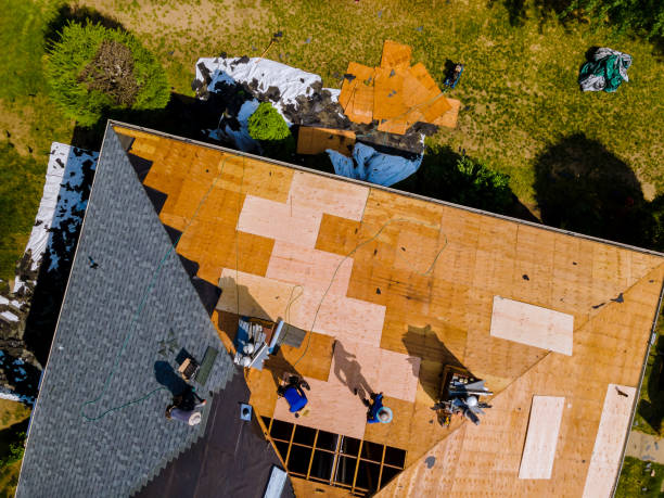 Quick and Trustworthy Emergency Roof Repair Services in Cross Plains, TN